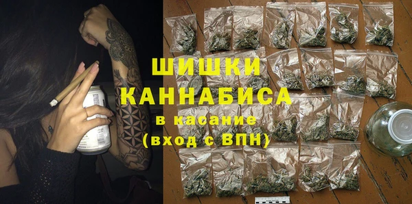 дмт Дмитриев