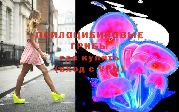 гидра Дмитровск