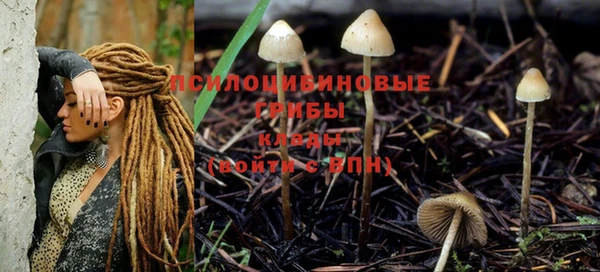 мяу мяу мука Дмитров