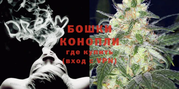 шишки Нефтегорск