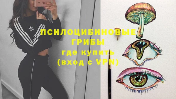 гидра Дмитровск