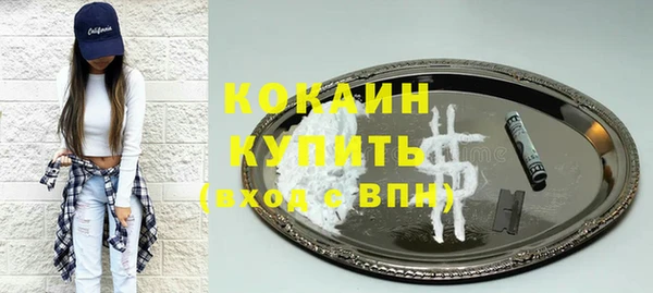 дмт Дмитриев