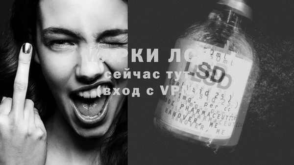 мяу мяу мука Дмитров